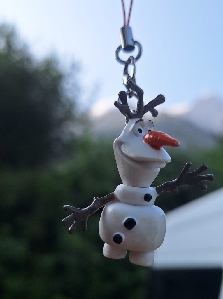 01 Sleutelhanger Olaf camperbus
